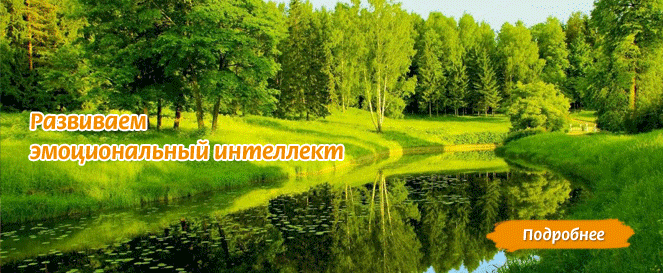 Развитие эмоционального интеллекта