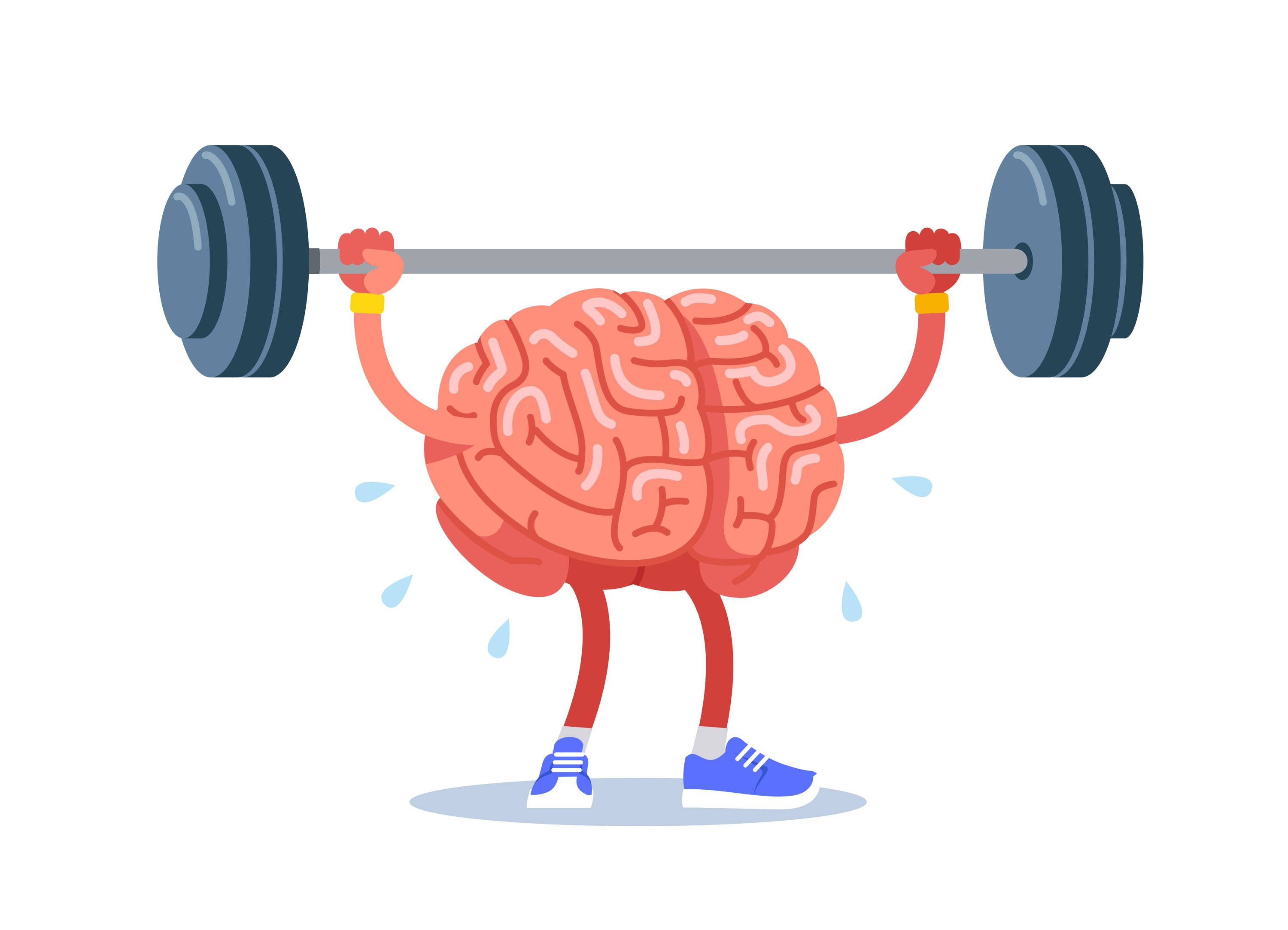 Можно ли тренировать мозг?